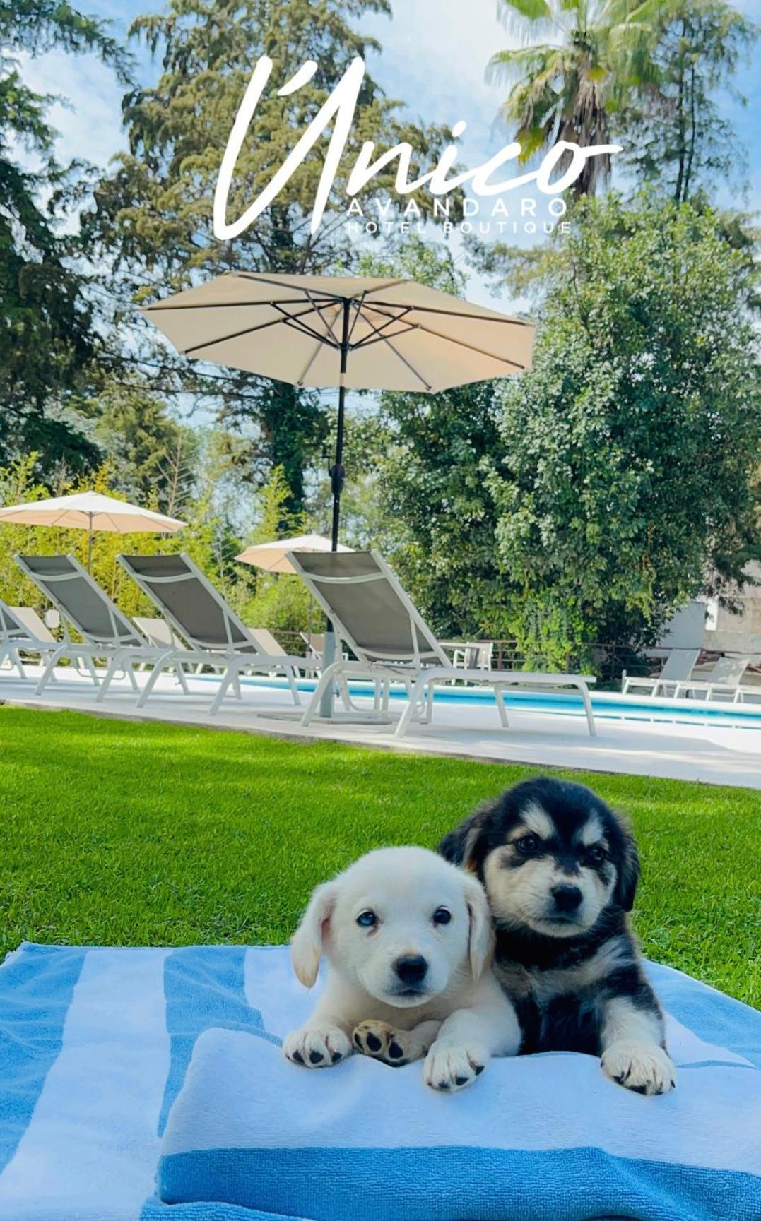 Hotel Boutique Unico Avandaro Valle de Bravo Bagian luar foto